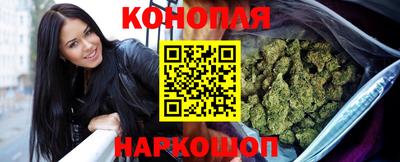 гашик Будённовск