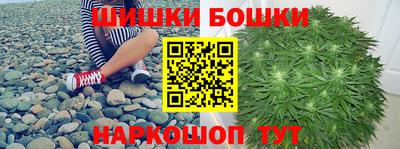 гашик Будённовск