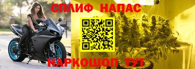 эйфоретик Бузулук