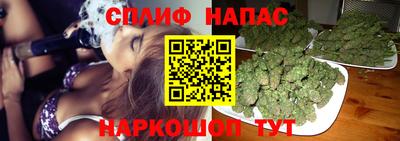 гашик Будённовск