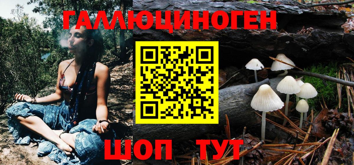 Псилоцибиновые грибы GOLDEN TEACHER Домодедово