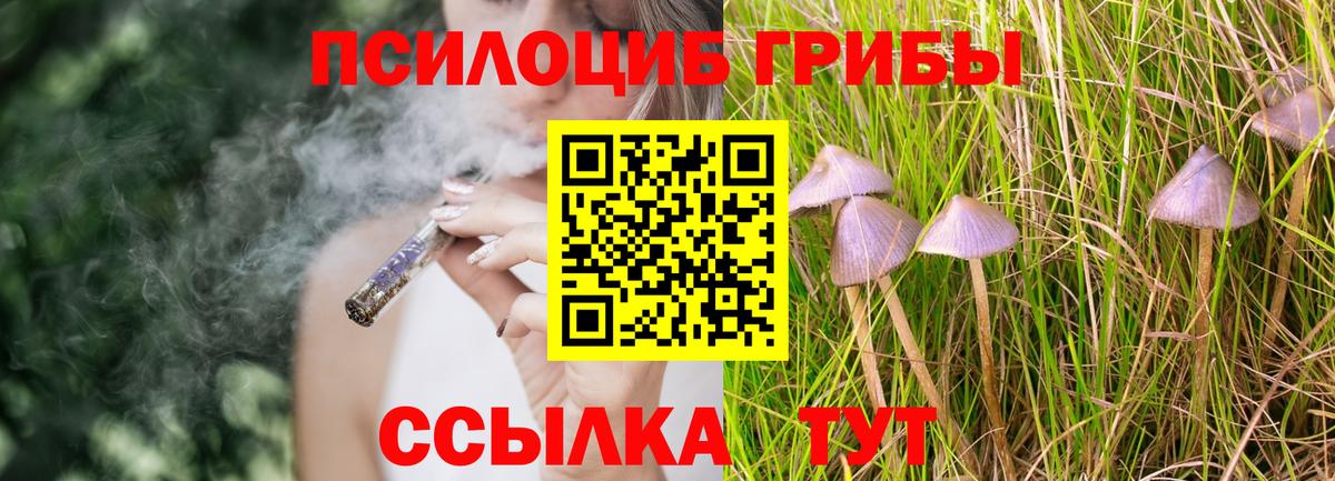 Домодедово  где можно купить наркотик  Вход с VPN  Псилоцибиновые грибы мухоморы 